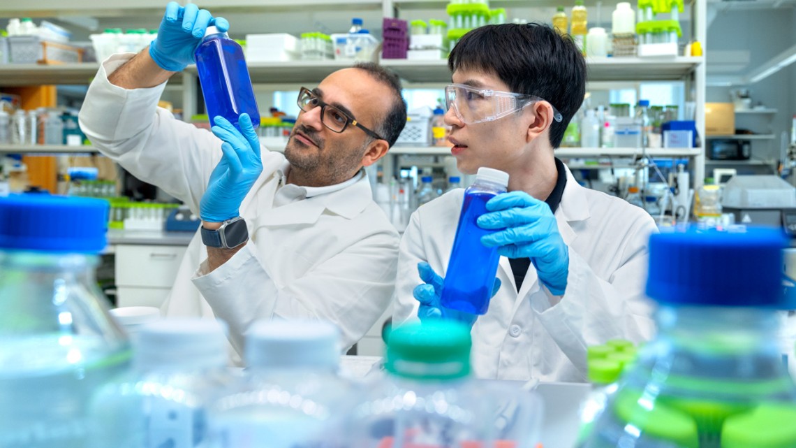 Cornell scientists develop algae-based blue dye to replace synthetic food colourants